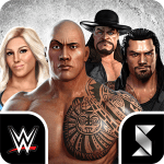 WWE champions - کشتی کج پازلی