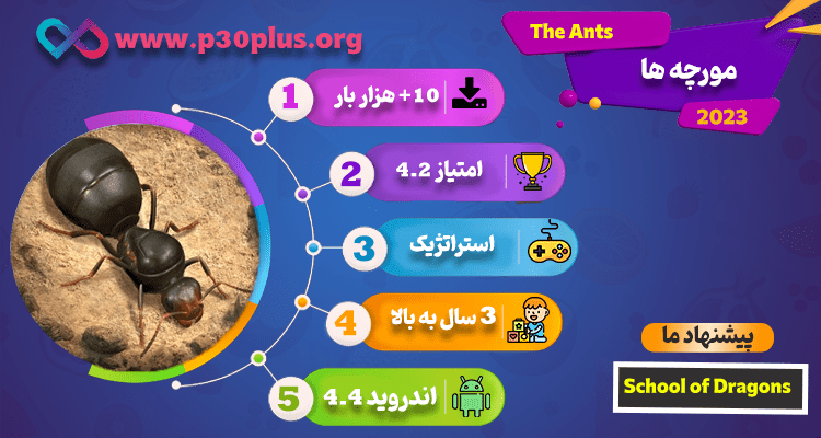 اینفوگرافی بازی مورچه ها