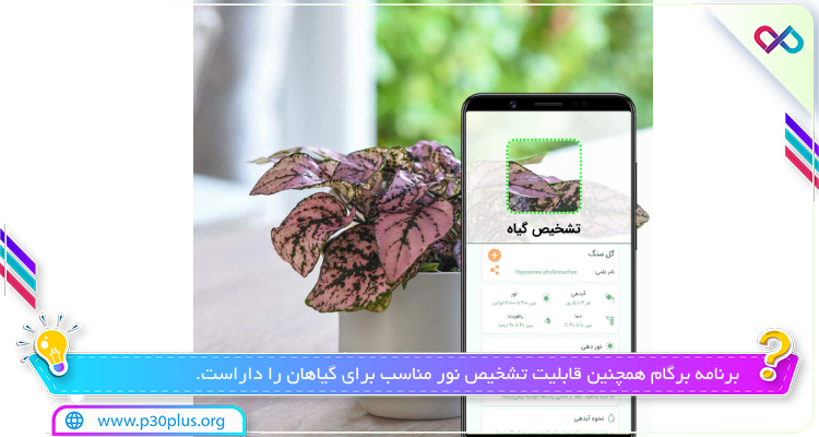 برنامه برگام