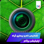 تصویر برنامه برگام اندروید