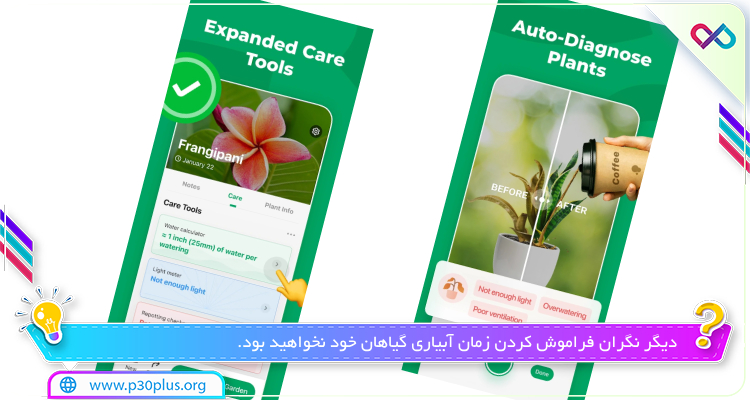 عکسی از شناسایی گیاه PictureThis